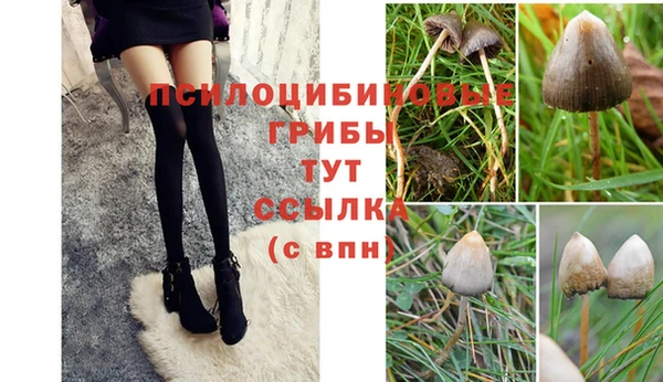 трава Балахна