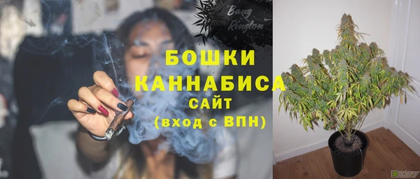 трава Балахна
