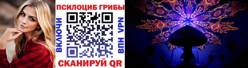 KRAKEN зеркало  нарко площадка формула  Вольск  Псилоцибиновые грибы Psilocybe  даркнет сайт 
